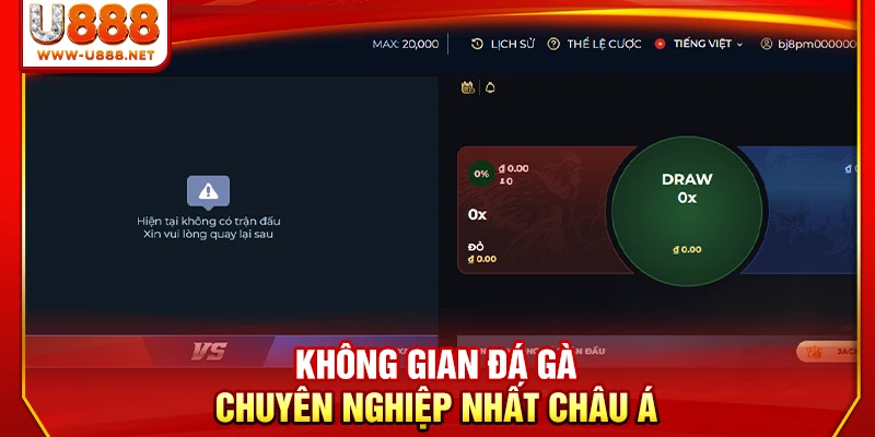 Đá Gà U888 - 4 Sảnh Đấu Kịch Tính Và Nảy Lửa Nhất 2026 1 Không gian đá gà chuyên nghiệp nhất châu Á